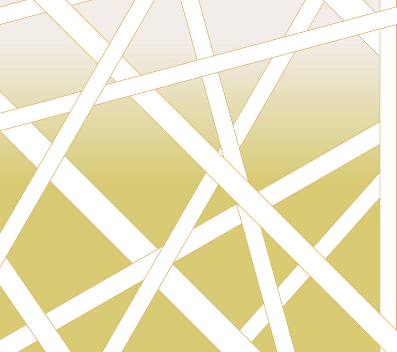 Nastri Wall Mural Mural Missoni Double Roll Yellow 