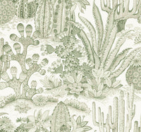 Lotus Land Cacti Wallpaper York Wallcoverings Double Roll Palm 