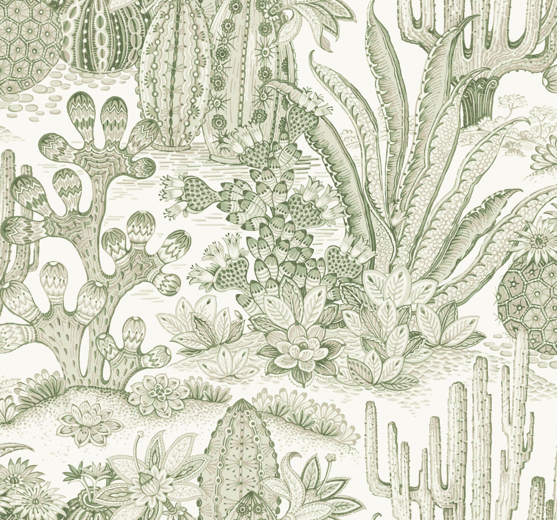 Lotus Land Cacti Wallpaper York Wallcoverings Double Roll Palm 