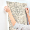 Lotus Land Cacti Wallpaper York Wallcoverings   