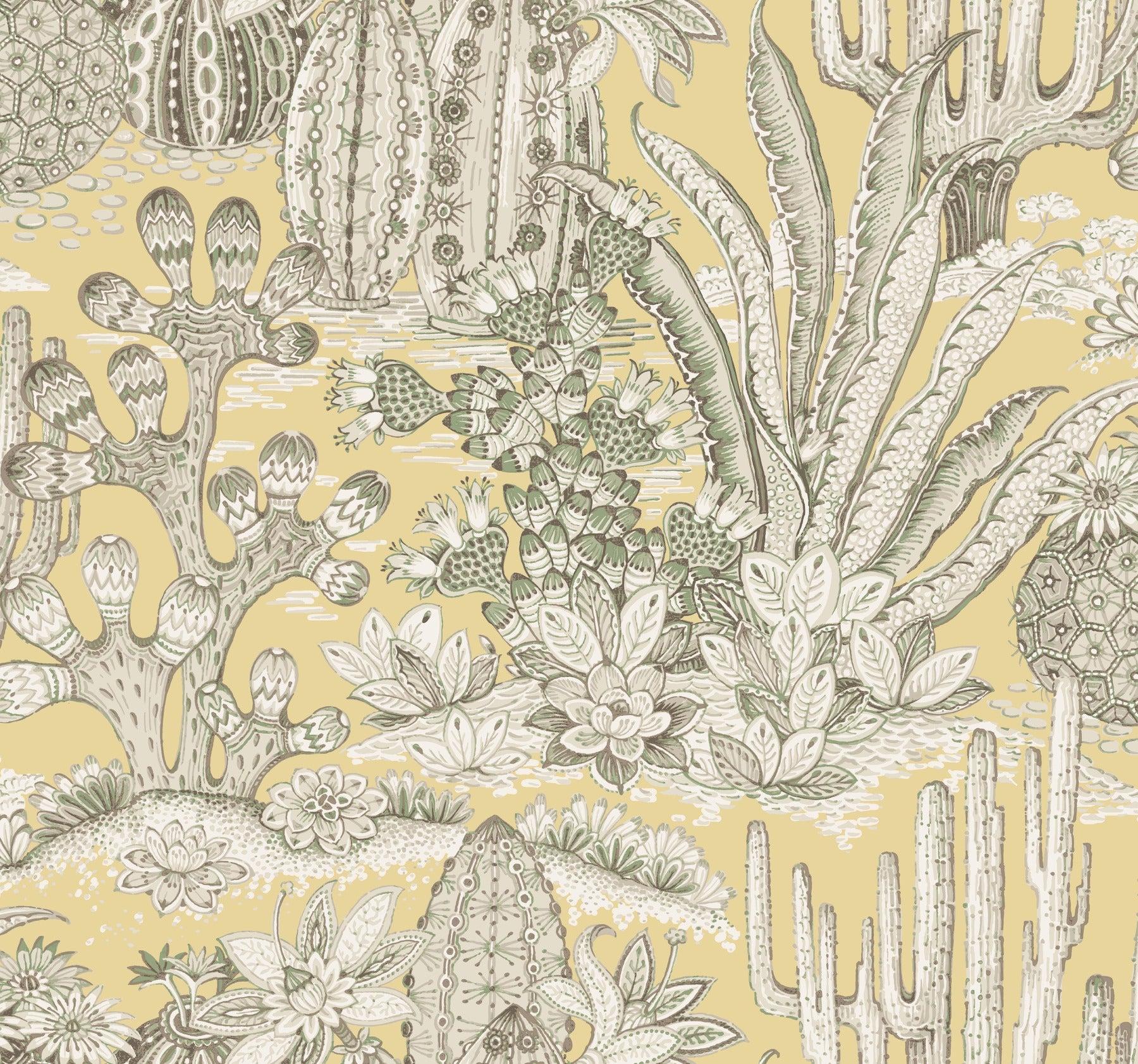 Lotus Land Cacti Wallpaper York Wallcoverings Double Roll Sunshine 