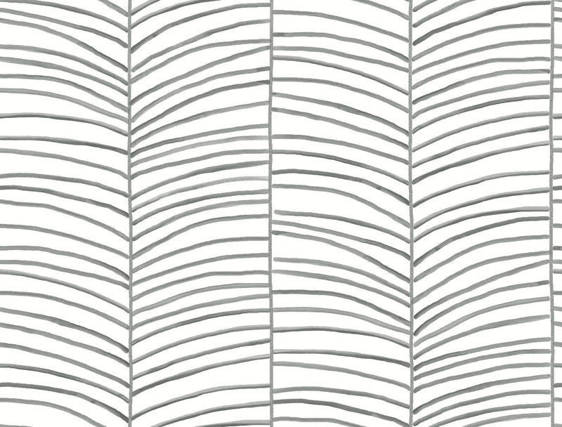 Cascade Palm Chevron Wallpaper York Wallcoverings Double Roll Onyx 