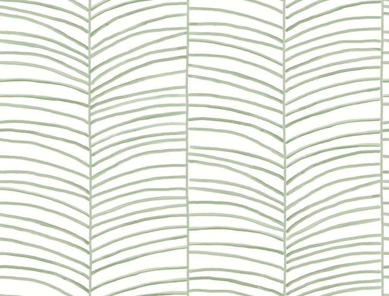 Cascade Palm Chevron Wallpaper York Wallcoverings Double Roll Palm 