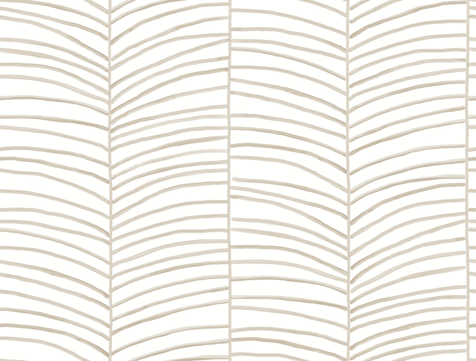 Cascade Palm Chevron Wallpaper York Wallcoverings Double Roll Dune 
