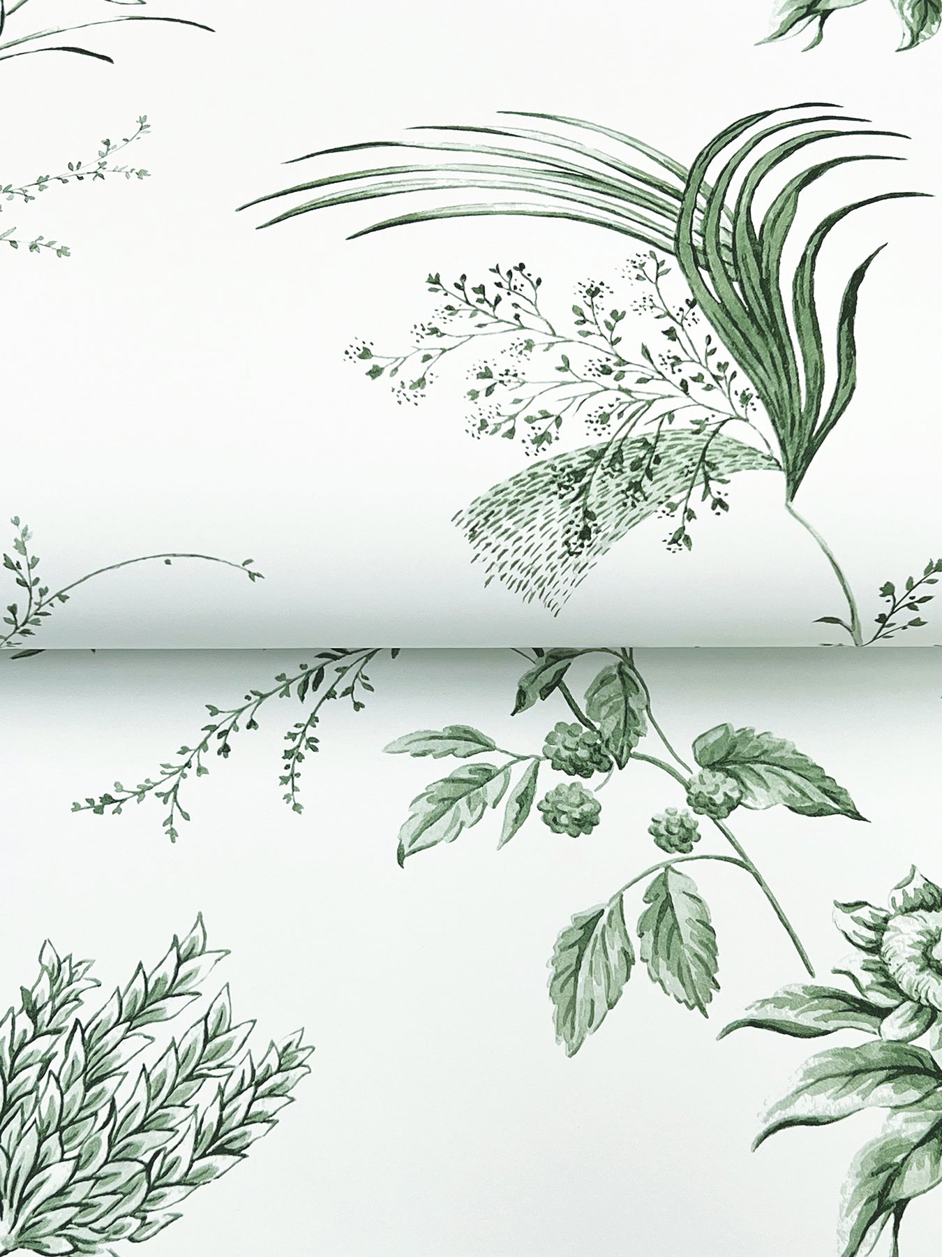 Floral Lace Wallpaper Wallpaper Ronald Redding   
