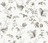 Floral Lace Wallpaper Wallpaper Ronald Redding Double Roll Black 