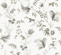 Floral Lace Wallpaper Wallpaper Ronald Redding Double Roll Black 