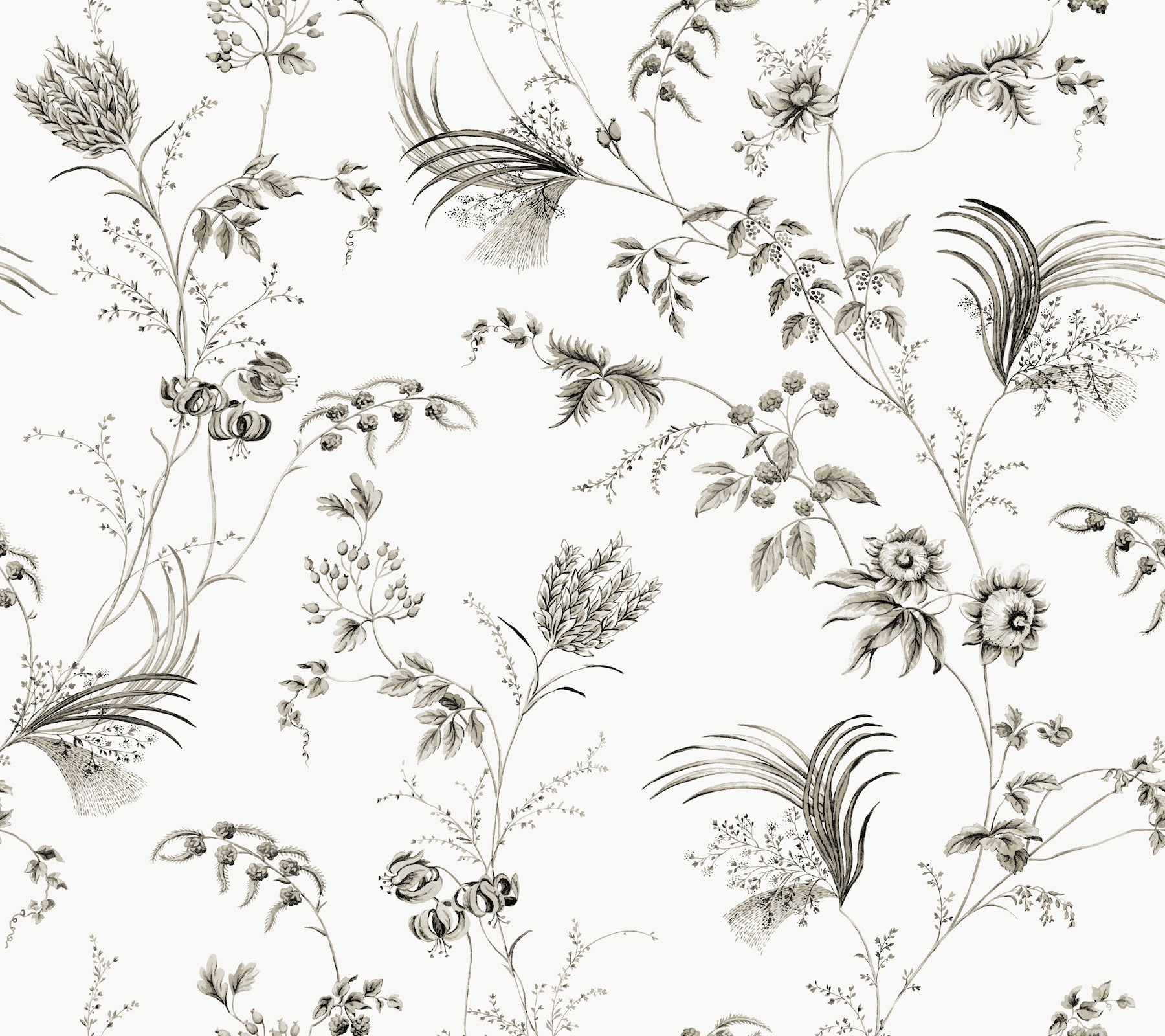 Floral Lace Wallpaper Wallpaper Ronald Redding Double Roll Black 