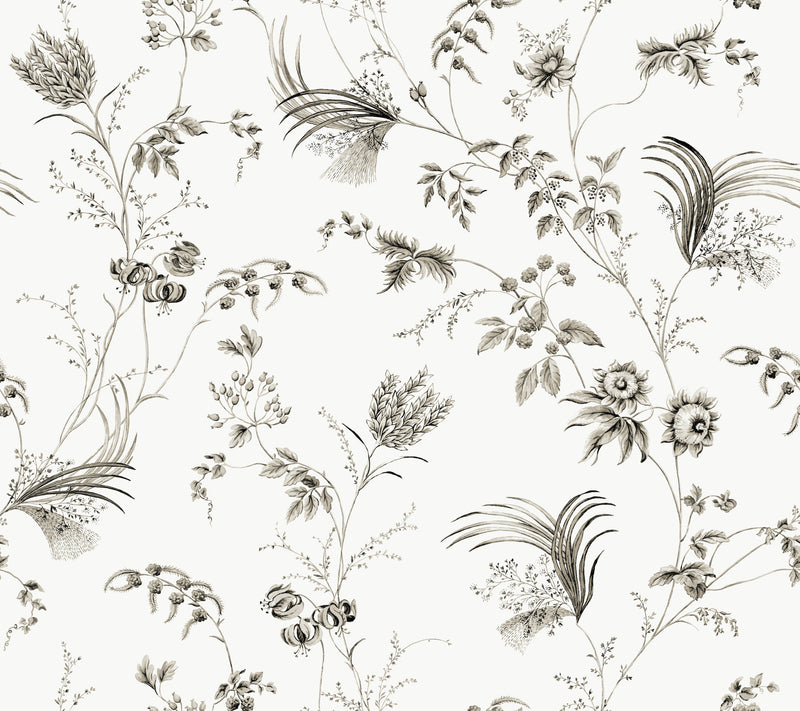 Floral Lace Wallpaper Wallpaper Ronald Redding Double Roll Black 
