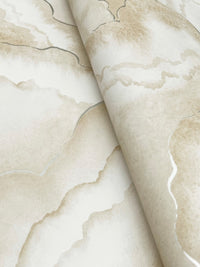 Abalone Fans Wallpaper Wallpaper Candice Olson   