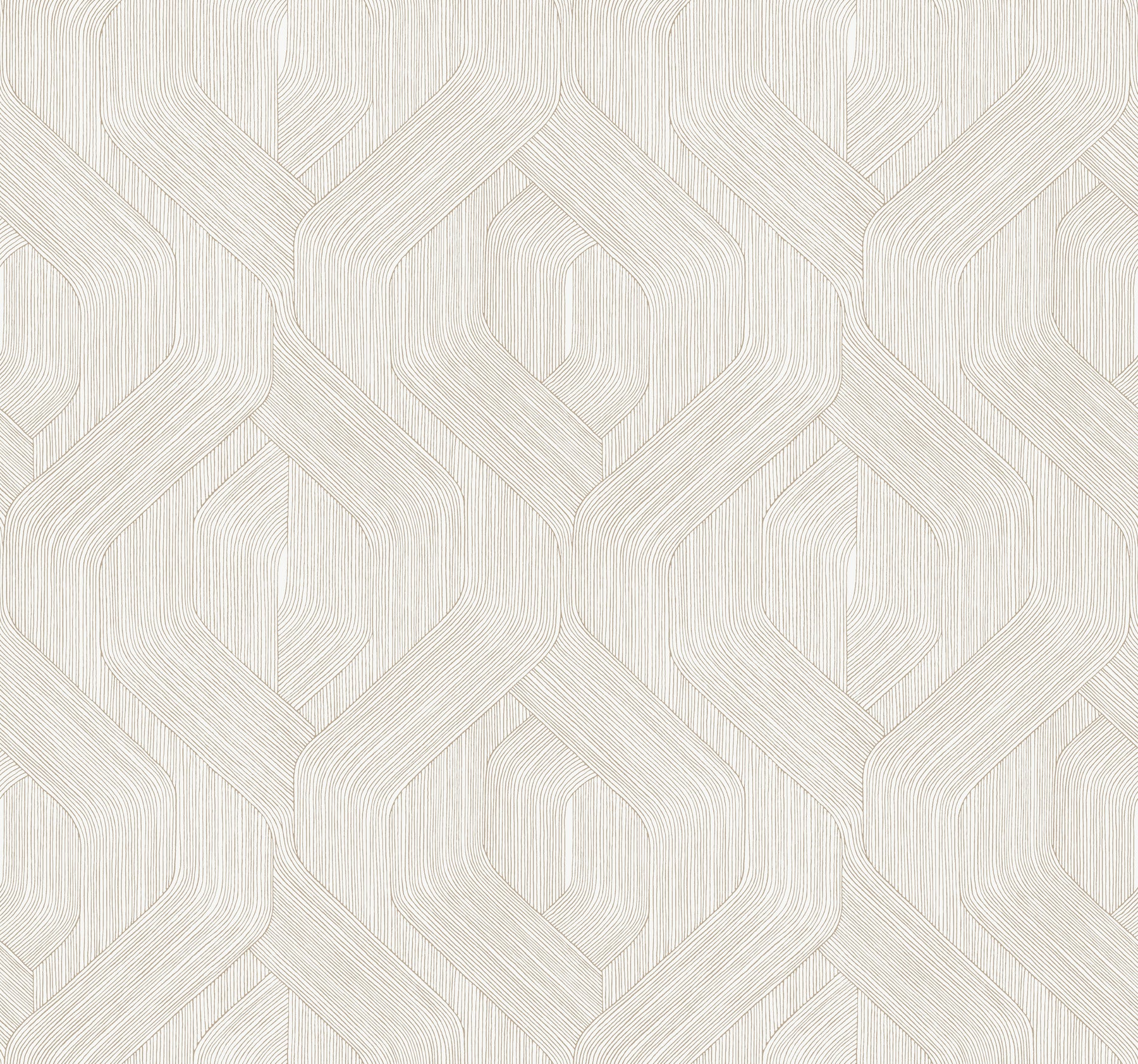 Fine Line Geometric Wallpaper Wallpaper Candice Olson Double Roll Taupe on White 