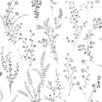 Wildflower Sprigs Peel and Stick Wallpaper Peel and Stick Wallpaper York Wallcoverings Roll Black & White 