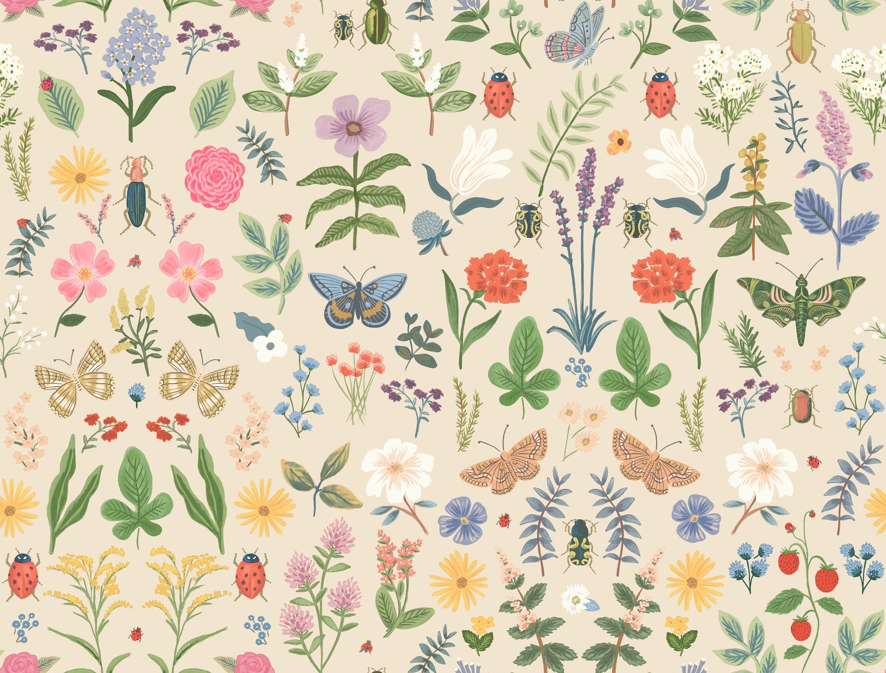 Curio Peel + Stick Wallpaper Peel and Stick Wallpaper Rifle Paper Co. Roll Cream 