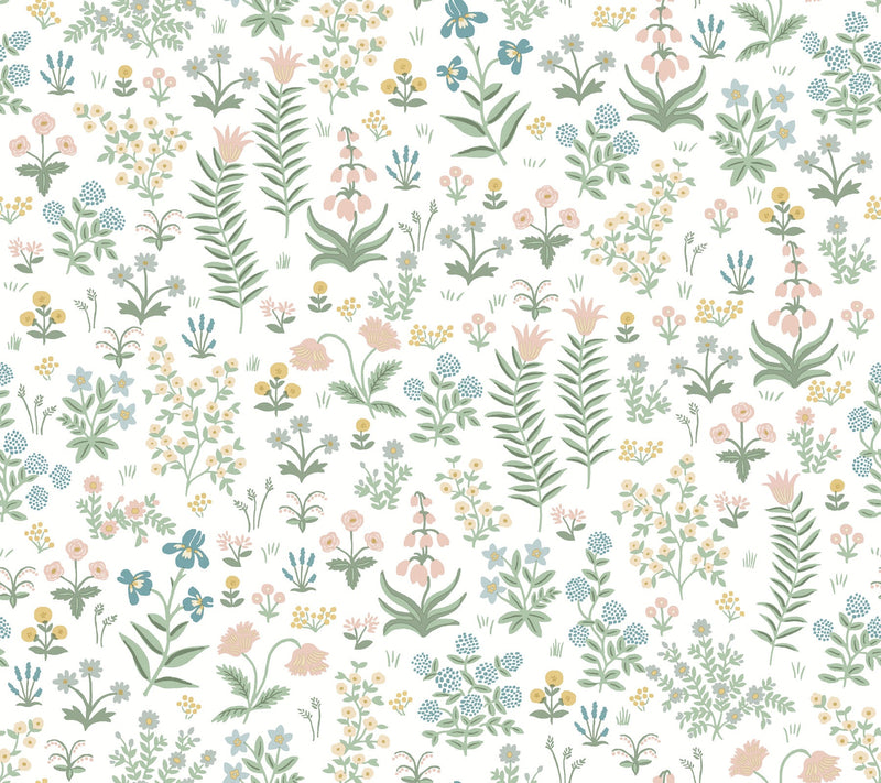 Menagerie Garden Peel + Stick Wallpaper Peel and Stick Wallpaper Rifle Paper Co. Roll Blush Multi 