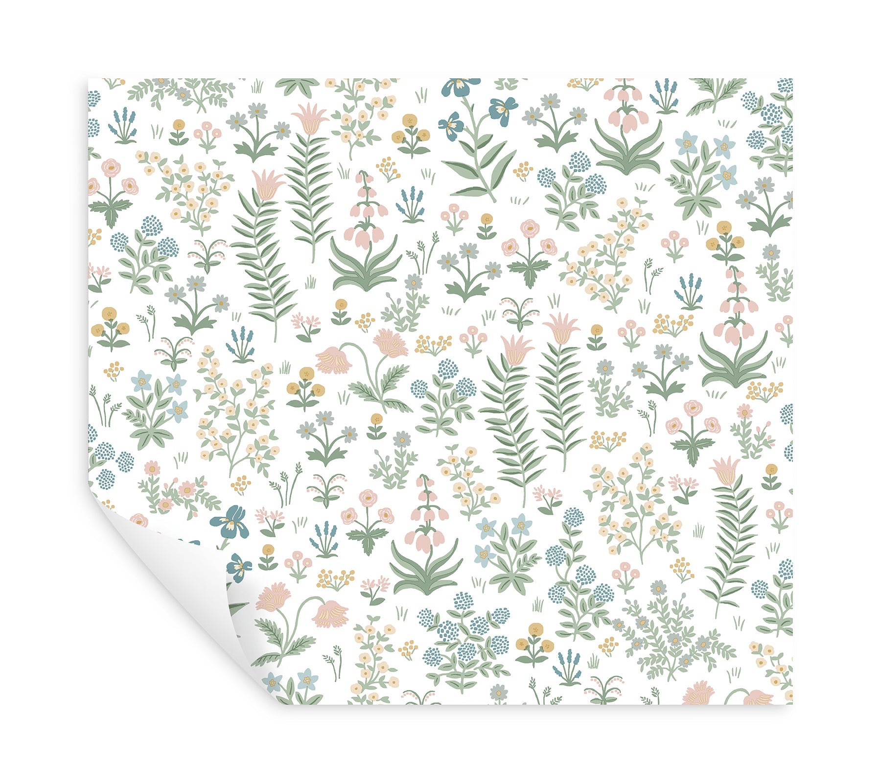 Menagerie Garden Peel + Stick Wallpaper Peel and Stick Wallpaper Rifle Paper Co.   