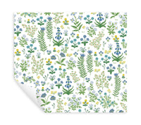 Menagerie Garden Peel + Stick Wallpaper Peel and Stick Wallpaper Rifle Paper Co.   