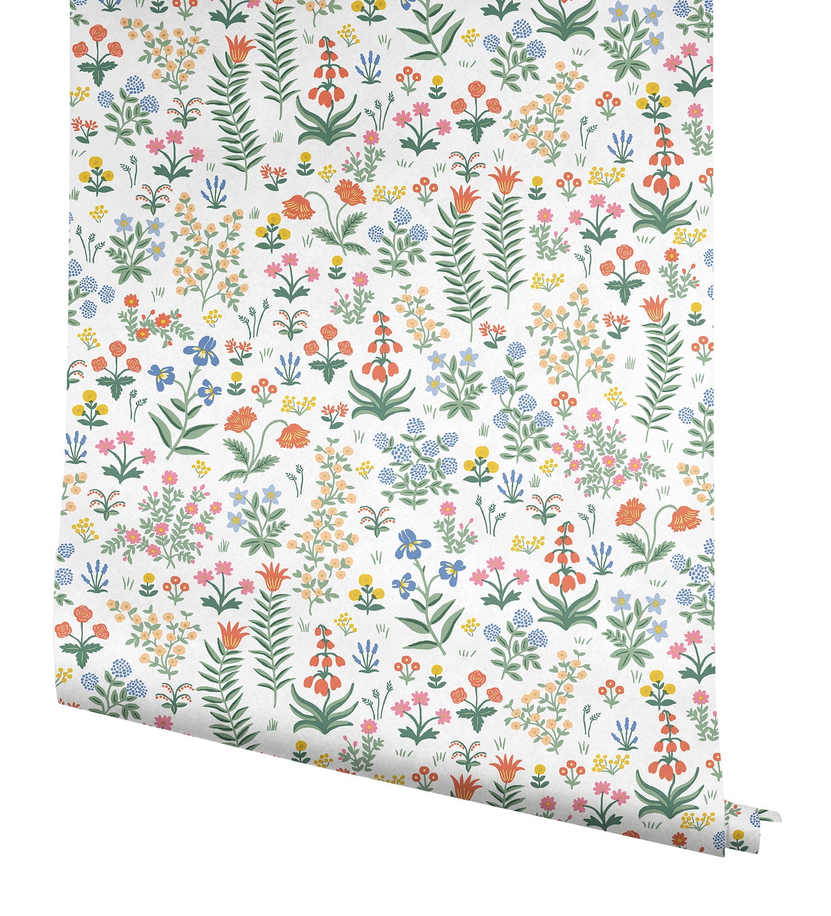 Menagerie Garden Peel + Stick Wallpaper Peel and Stick Wallpaper Rifle Paper Co.   