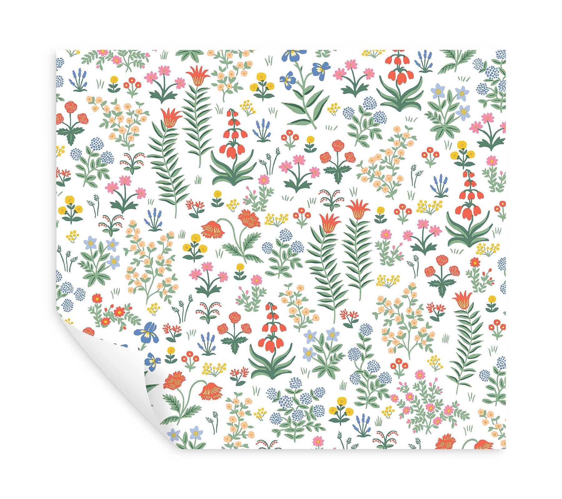 Menagerie Garden Peel + Stick Wallpaper Peel and Stick Wallpaper Rifle Paper Co.   