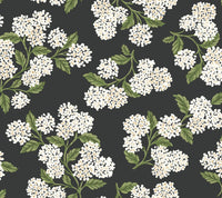 Hydrangea Wallpaper P&S Wallpaper Rifle Paper Co. Roll Black & White