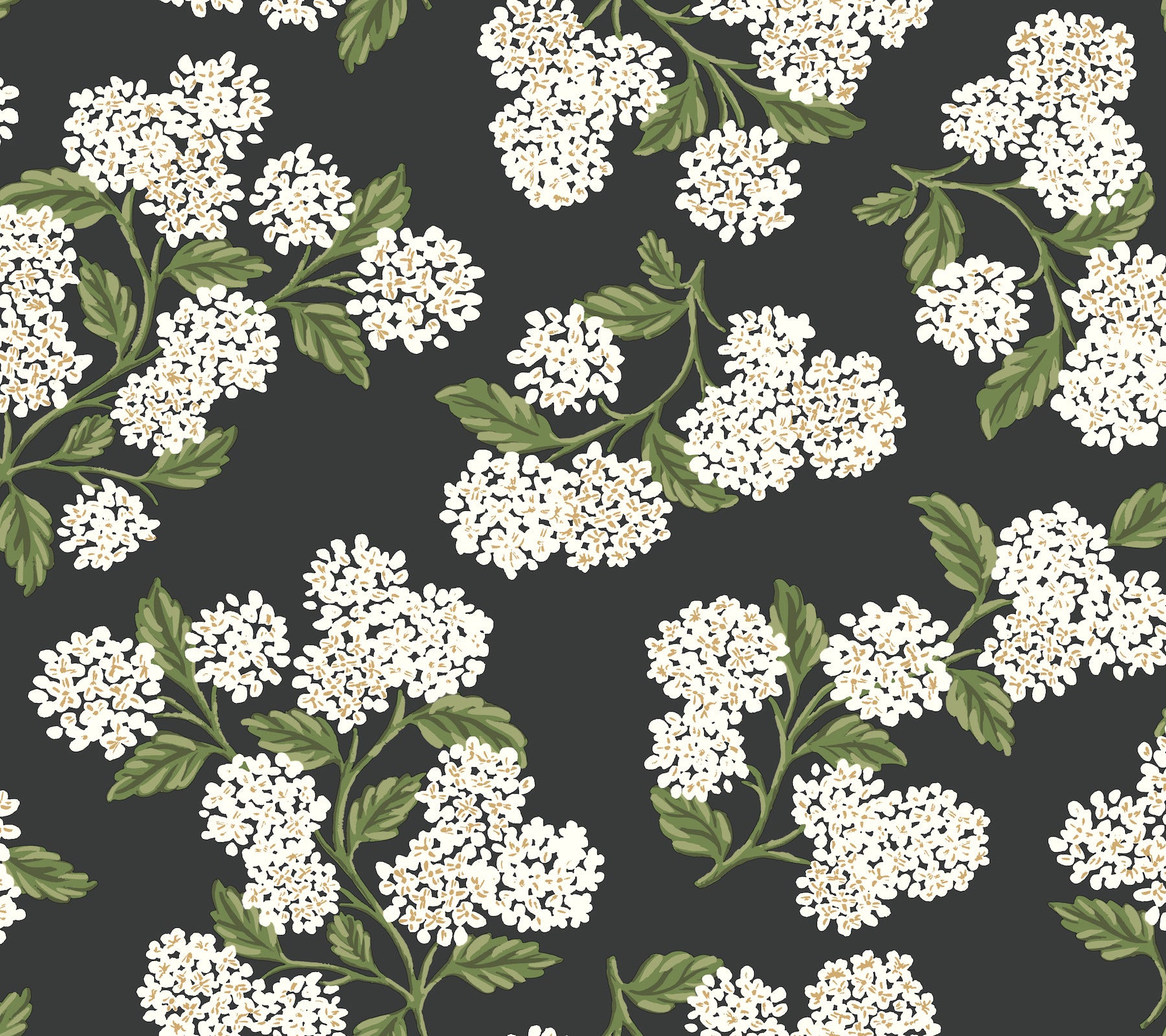 Hydrangea Wallpaper P&S Wallpaper Rifle Paper Co. Roll Black & White