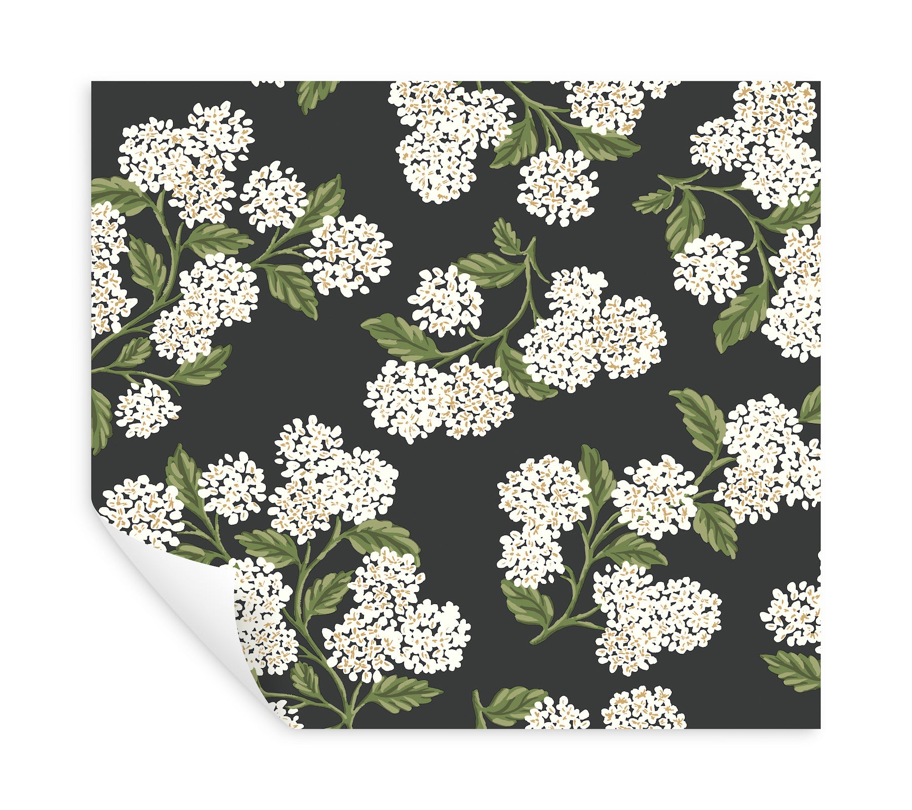 Hydrangea Wallpaper P&S Wallpaper Rifle Paper Co.
