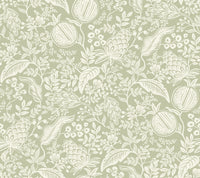 Pomegranate Wallpaper P&S Wallpaper Rifle Paper Co. Roll Pistachio