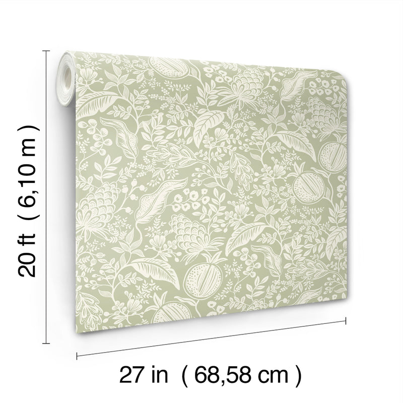 Pomegranate Wallpaper P&S Wallpaper Rifle Paper Co.