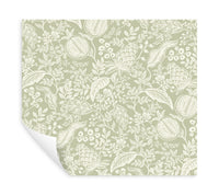 Pomegranate Wallpaper P&S Wallpaper Rifle Paper Co.