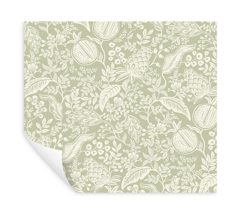 Pomegranate Wallpaper P&S Wallpaper Rifle Paper Co.