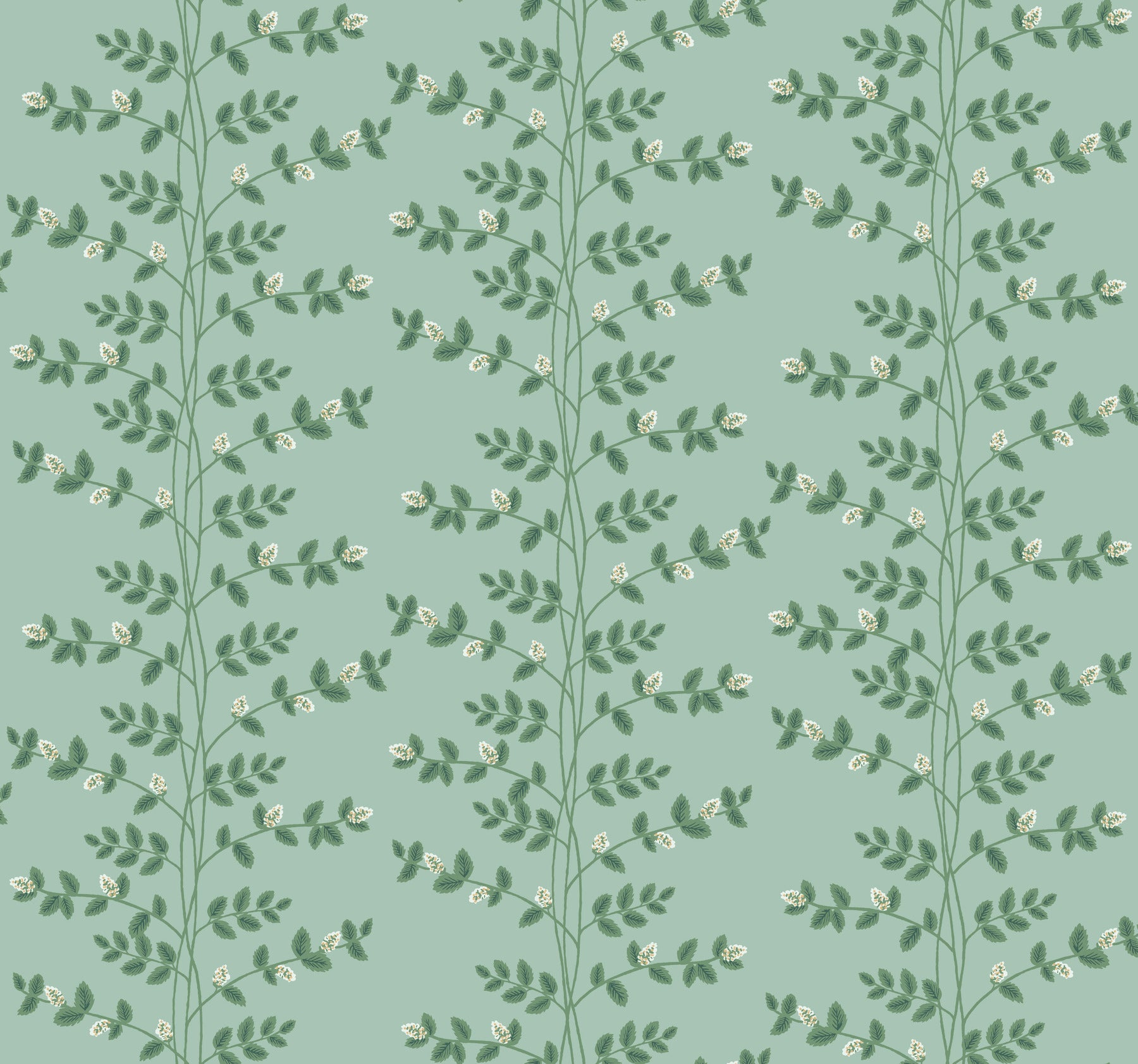 Climbing Vine Wallpaper Wallpaper Rifle Paper Co. Roll Soft Teal 