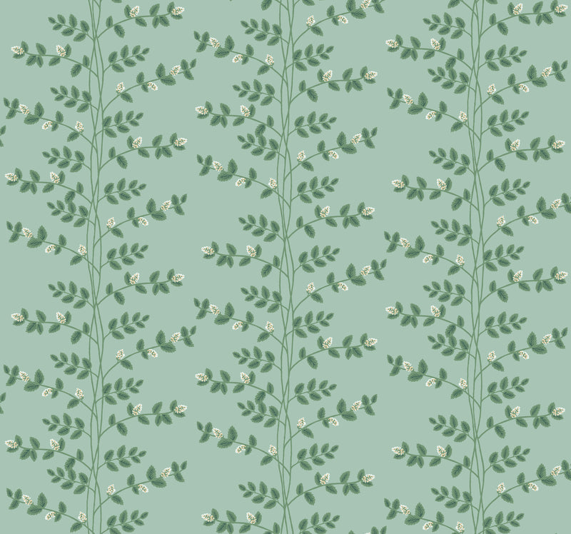 Climbing Vine Wallpaper Wallpaper Rifle Paper Co. Roll Soft Teal 