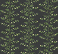 Climbing Vine Wallpaper Wallpaper Rifle Paper Co. Roll Black 