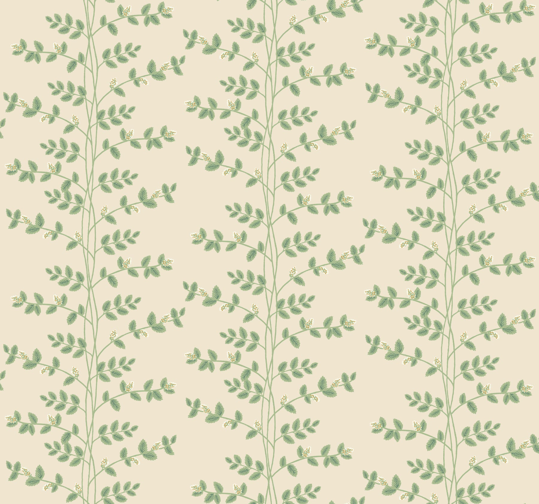 Climbing Vine Wallpaper Wallpaper Rifle Paper Co. Roll Linen 