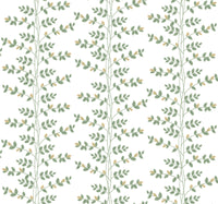 Climbing Vine Wallpaper Wallpaper Rifle Paper Co. Roll White & Gold 