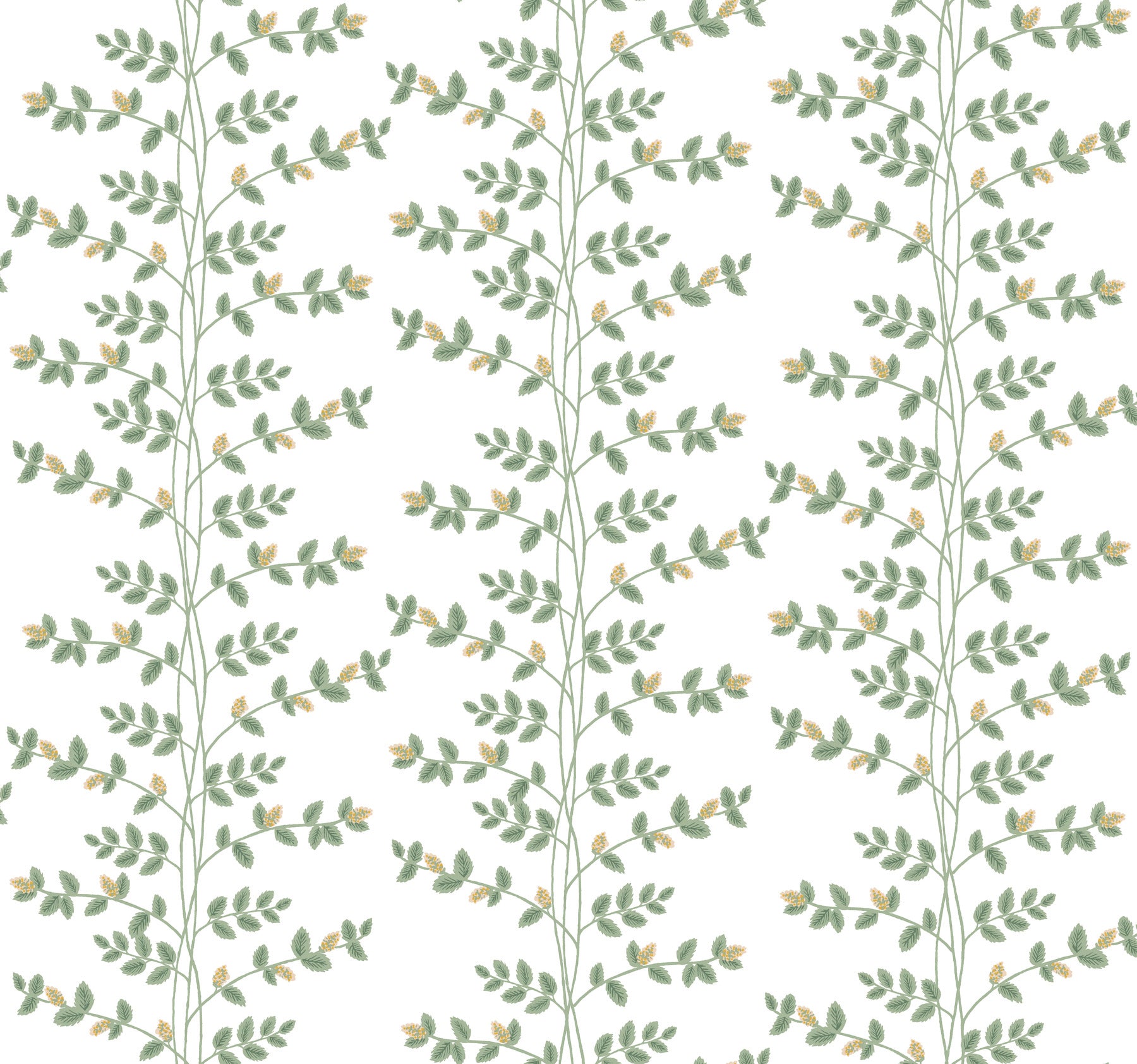 Climbing Vine Wallpaper Wallpaper Rifle Paper Co. Roll White & Gold 