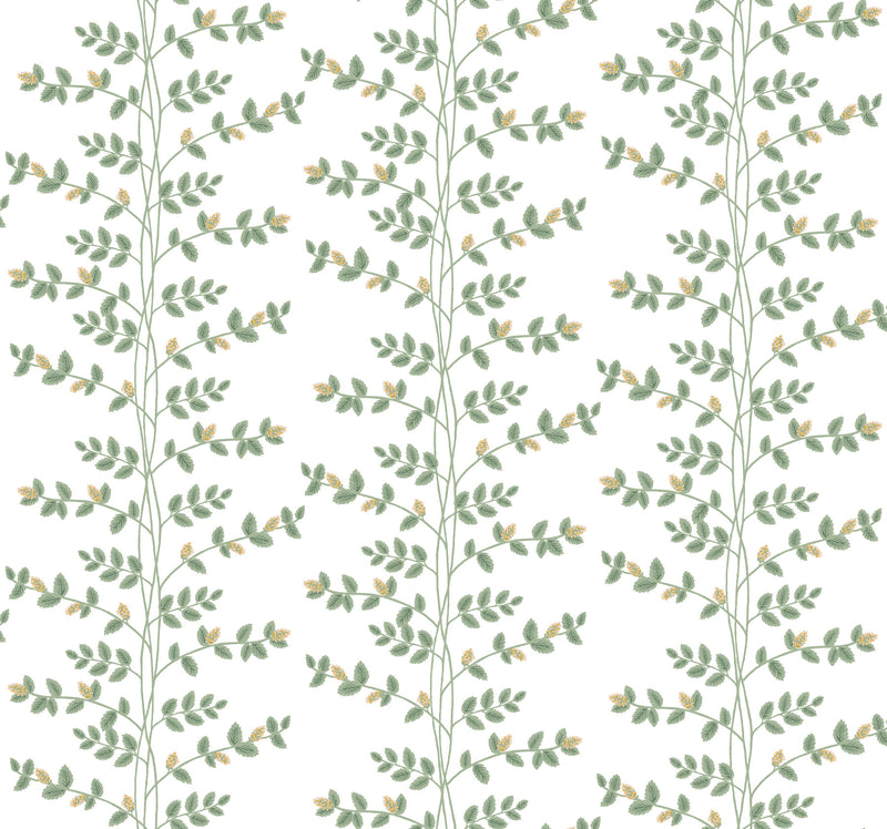 Climbing Vine Wallpaper Wallpaper Rifle Paper Co. Roll White & Gold 