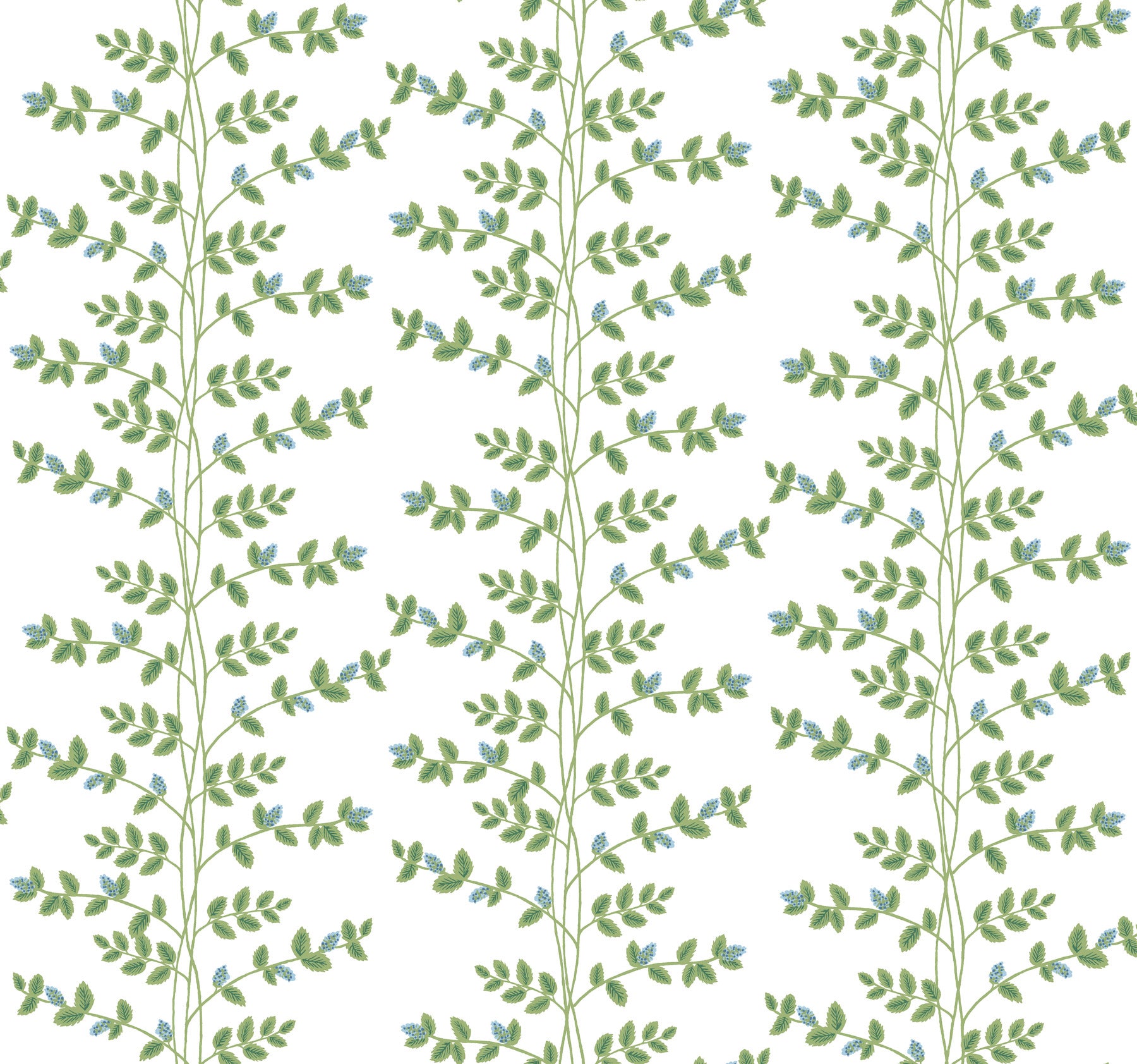 Climbing Vine Wallpaper Wallpaper Rifle Paper Co. Roll White & Blue 