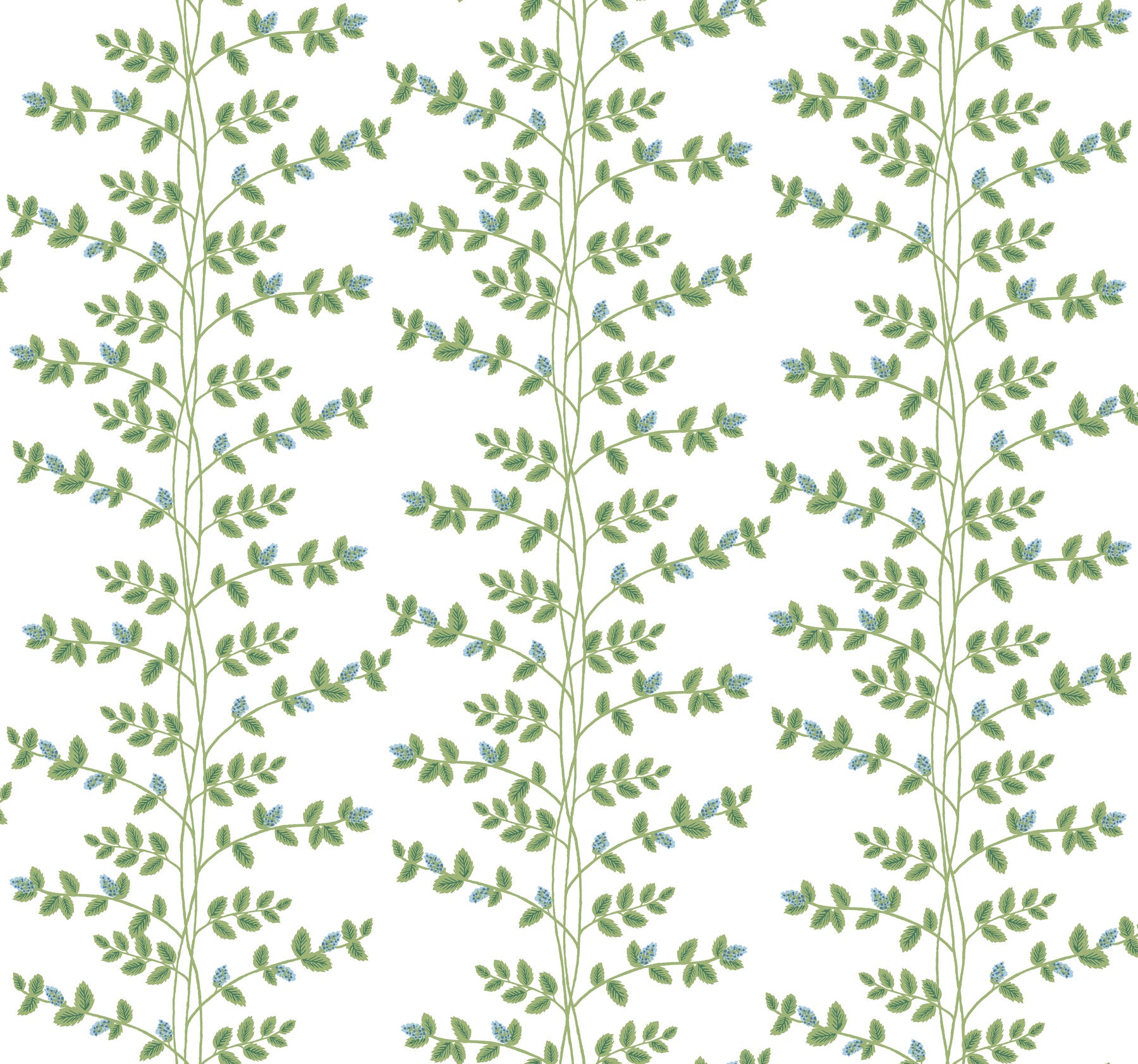 Climbing Vine Wallpaper Wallpaper Rifle Paper Co. Roll White & Blue 