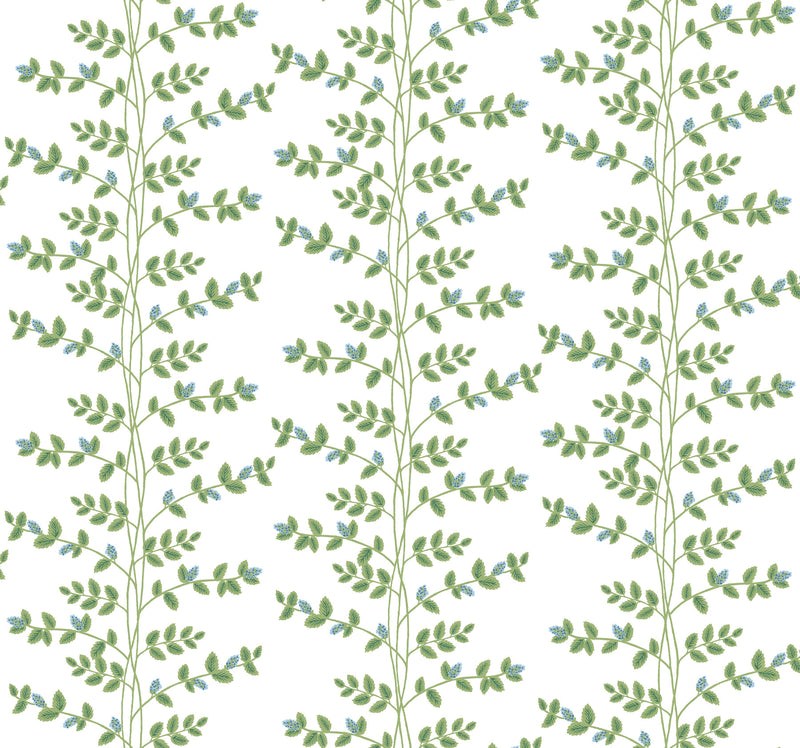 Climbing Vine Wallpaper Wallpaper Rifle Paper Co. Roll White & Blue 