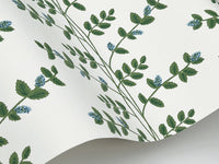 Climbing Vine Wallpaper Wallpaper Rifle Paper Co.   