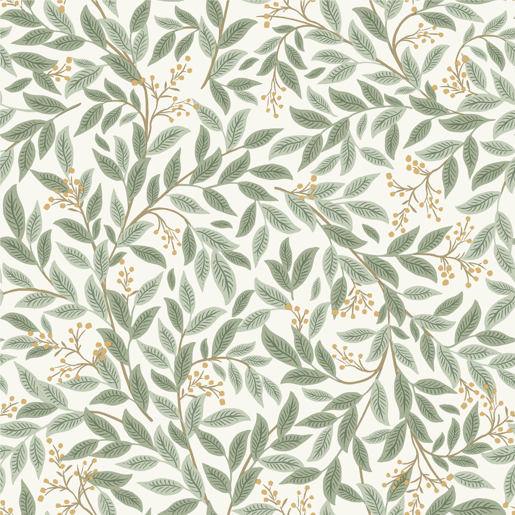 Willowberry Wallpaper Wallpaper Rifle Paper Co. Roll Sage & White 