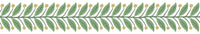 Garden Wallpaper Trim Wallpaper Trim Rifle Paper Co. Roll Green 