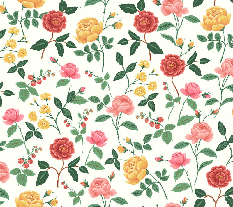 Roses Wallpaper Wallpaper Rifle Paper Co. Roll White & Blush 