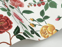 Roses Wallpaper Wallpaper Rifle Paper Co.   