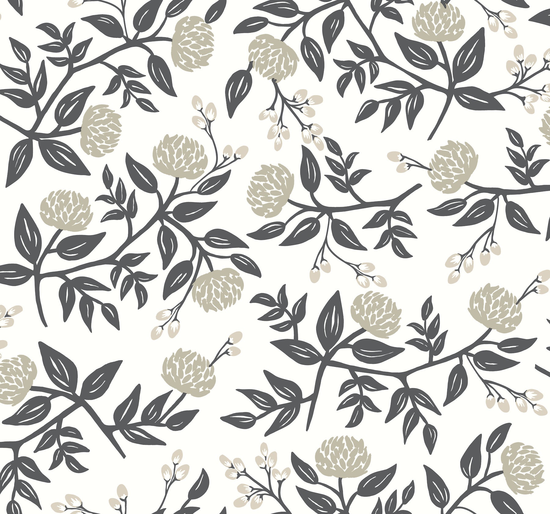 Peonies Wallpaper Wallpaper Rifle Paper Co. Double Roll White & Black 