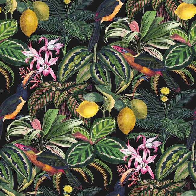 Tamara Day Mirage Oasis Wallpaper Peel and Stick Wallpaper RoomMates Roll Black Multi 