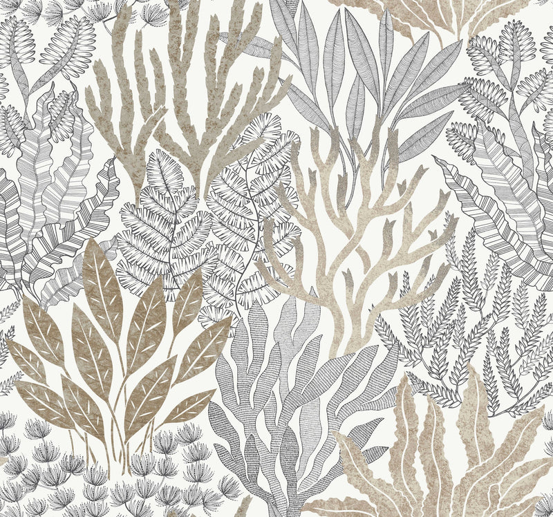 Coral Leaves Wallpaper Wallpaper York Wallcoverings Double Roll Taupe/Black 