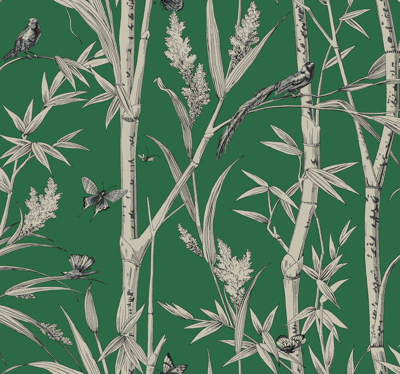 Bambou Toile Wallpaper Wallpaper York Wallcoverings Double Roll Green 