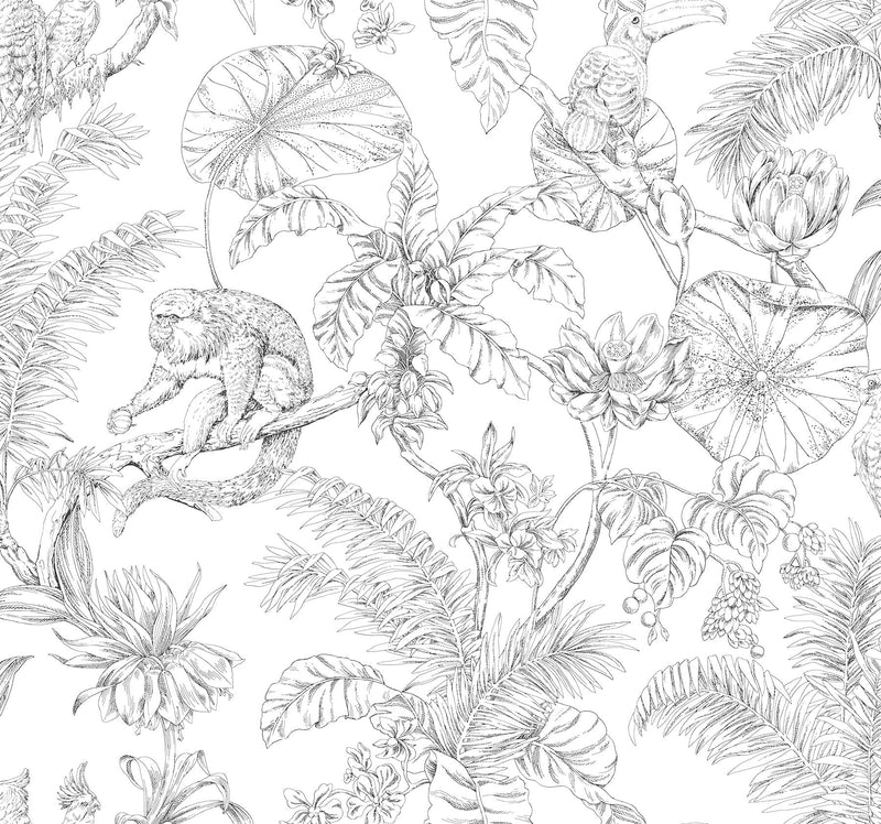 Tropical Sketch Toile Wallpaper Wallpaper York Wallcoverings Double Roll Black 