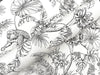 Tropical Sketch Toile Wallpaper Wallpaper York Wallcoverings   